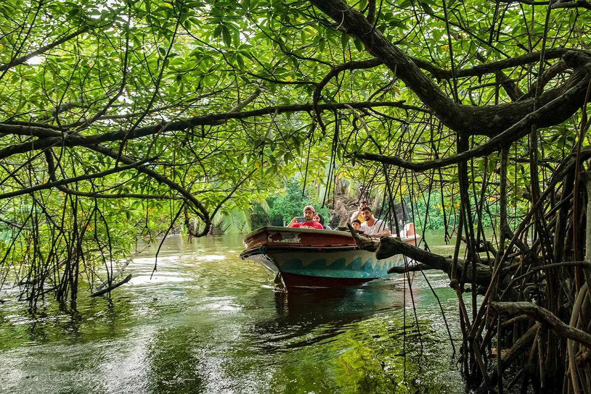 Madu Ganga Boat Safari