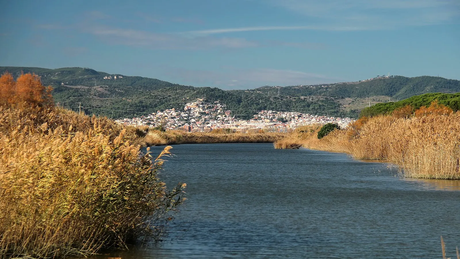 Llobregat Delta