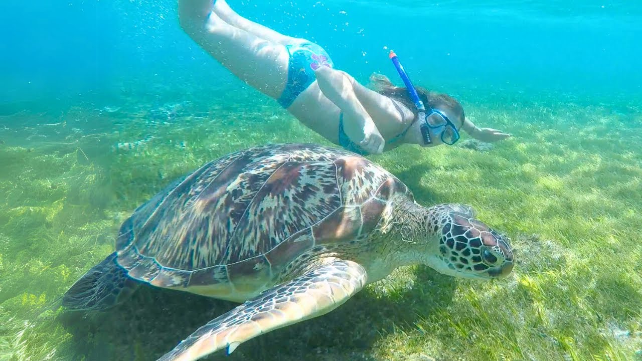 Your experience at Gili Islands Snorkeling