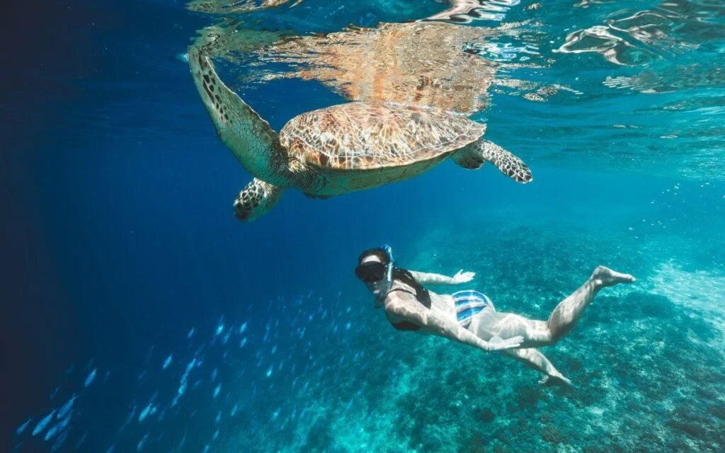 Gili Islands Snorkeling
