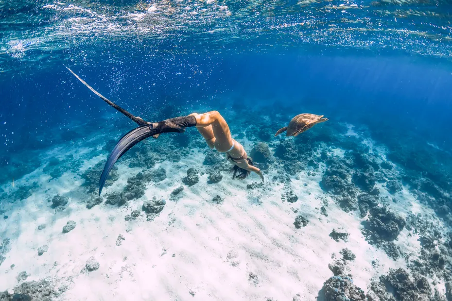 Snorkel-and-Beach Zone