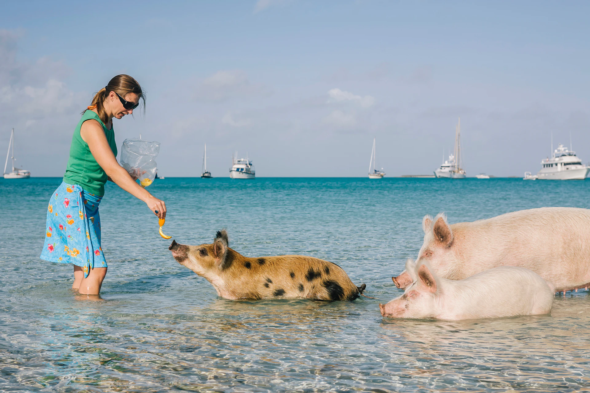 Nassau to Pig Beach