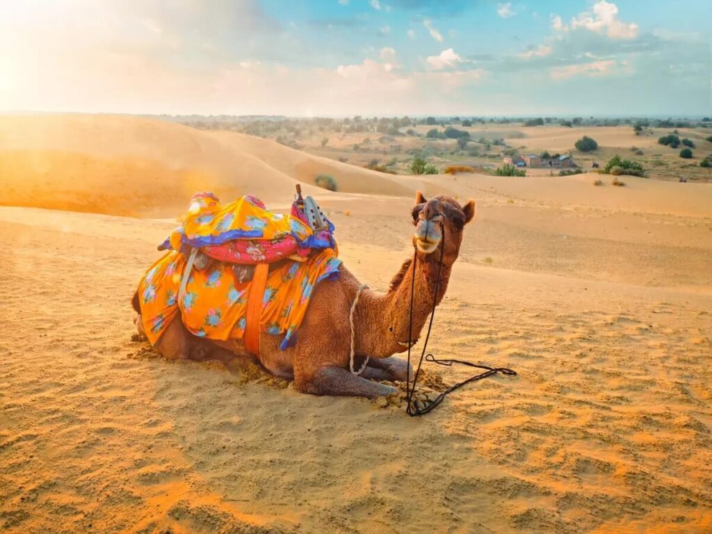Jaisalmer Fort