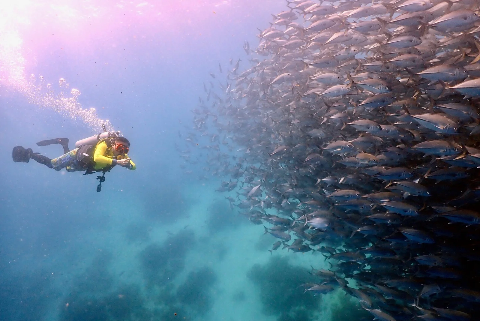 Divers Haven