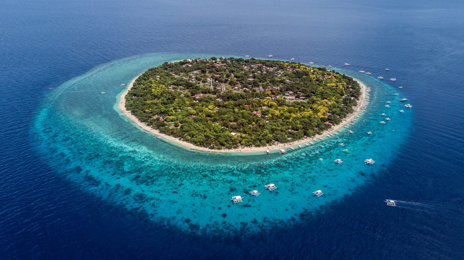 Balicasag Island Tour