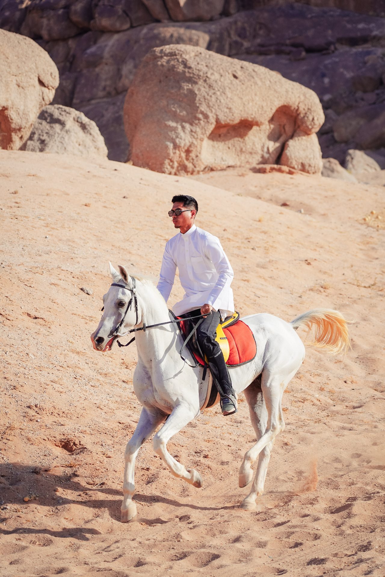 Horse Riding Madinah