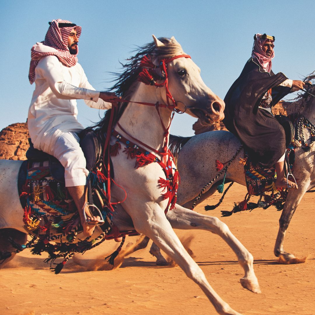 Horse Riding Madinah at the Equestrian Center