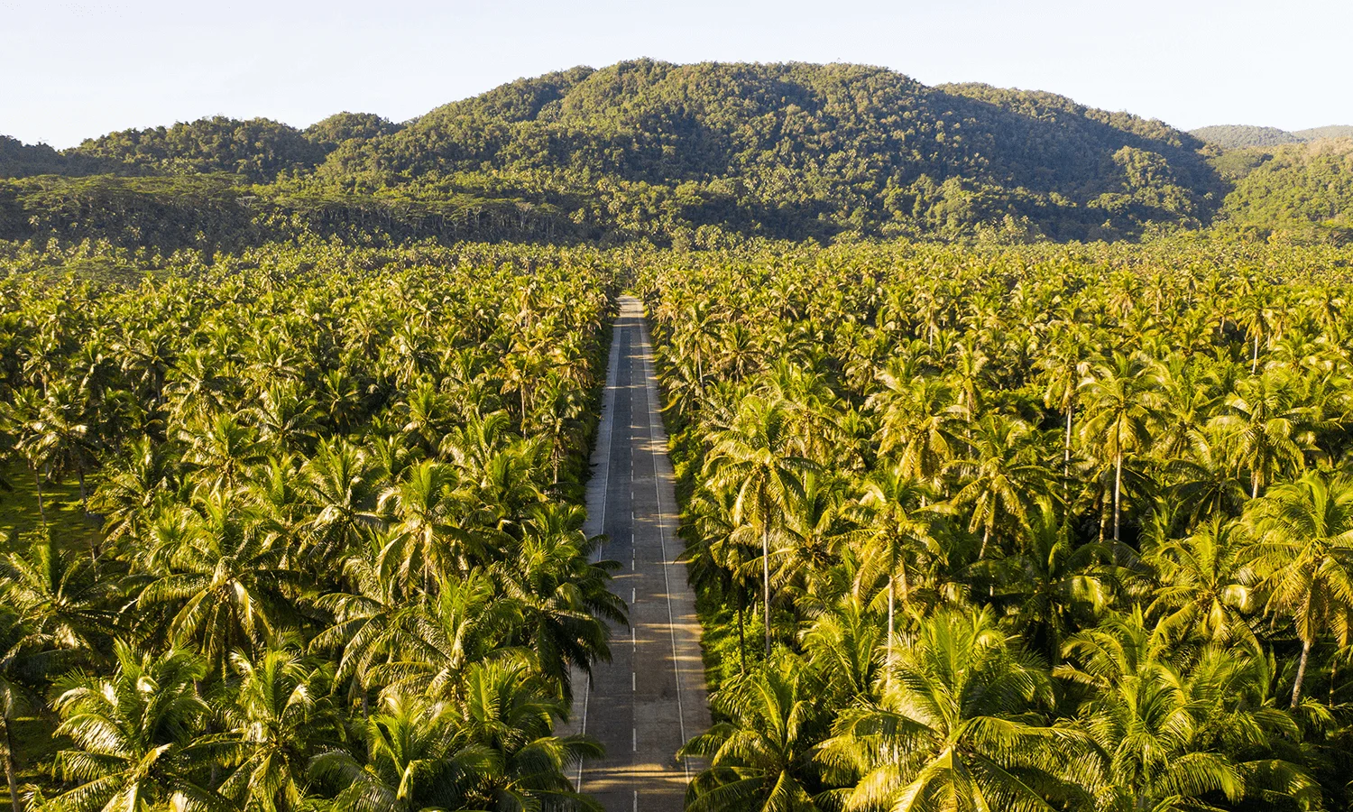 Coconut Mountain View