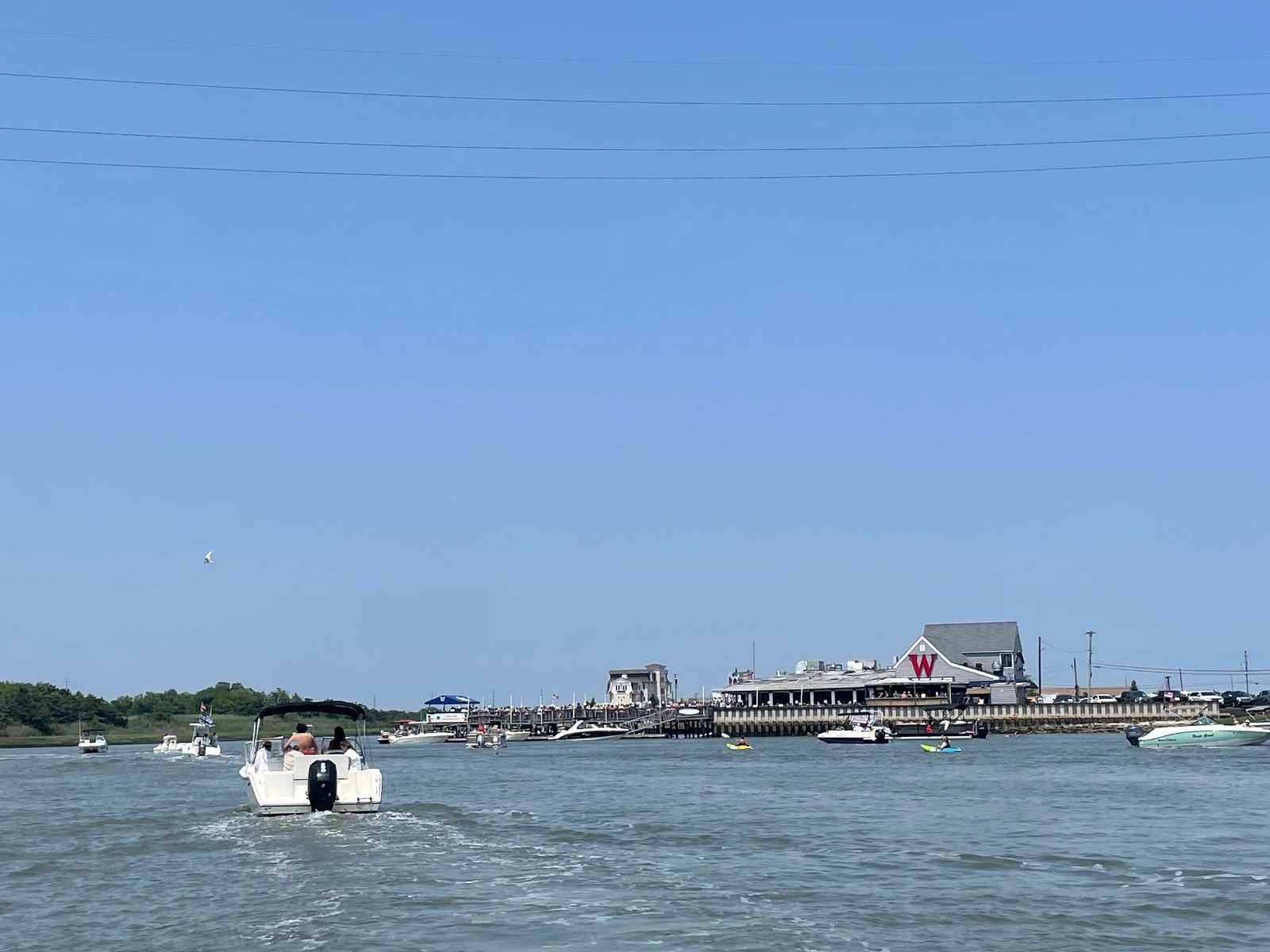 Cape May Boat Tours