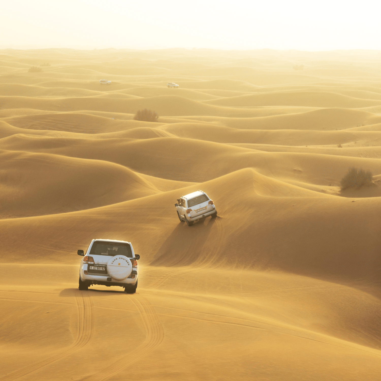 Morning Desert Safari Dubai