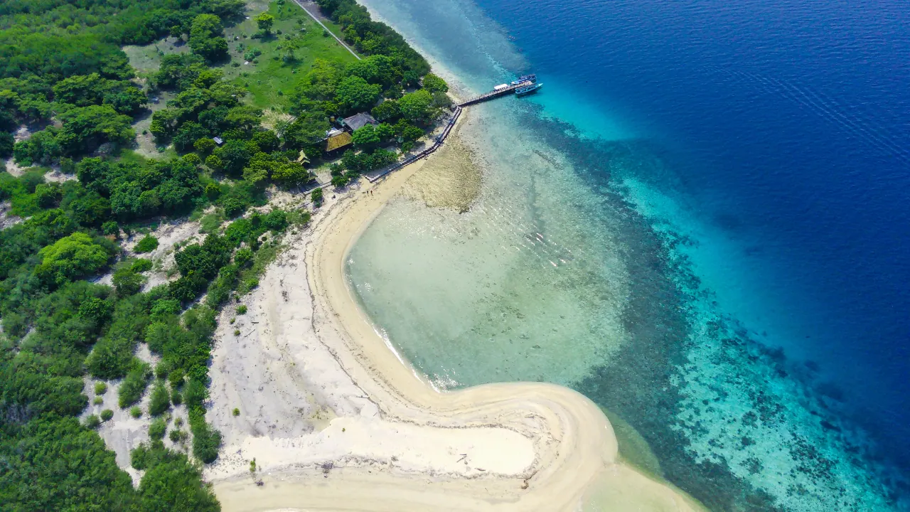 Snorkeling Menjangan: Bali's Clearest Reef Walls