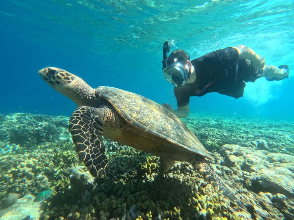 Snorkeling Menjangan