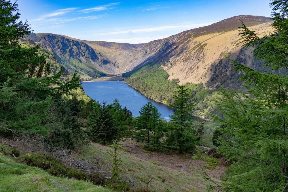 Upper Lake Shoreline