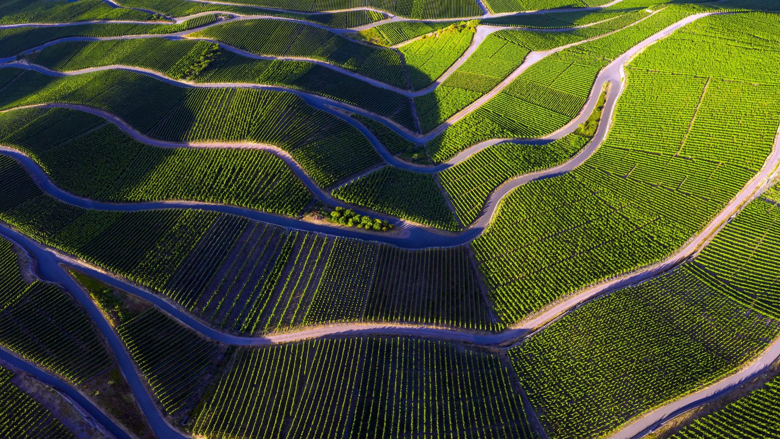 Mosel River Cruise Experience