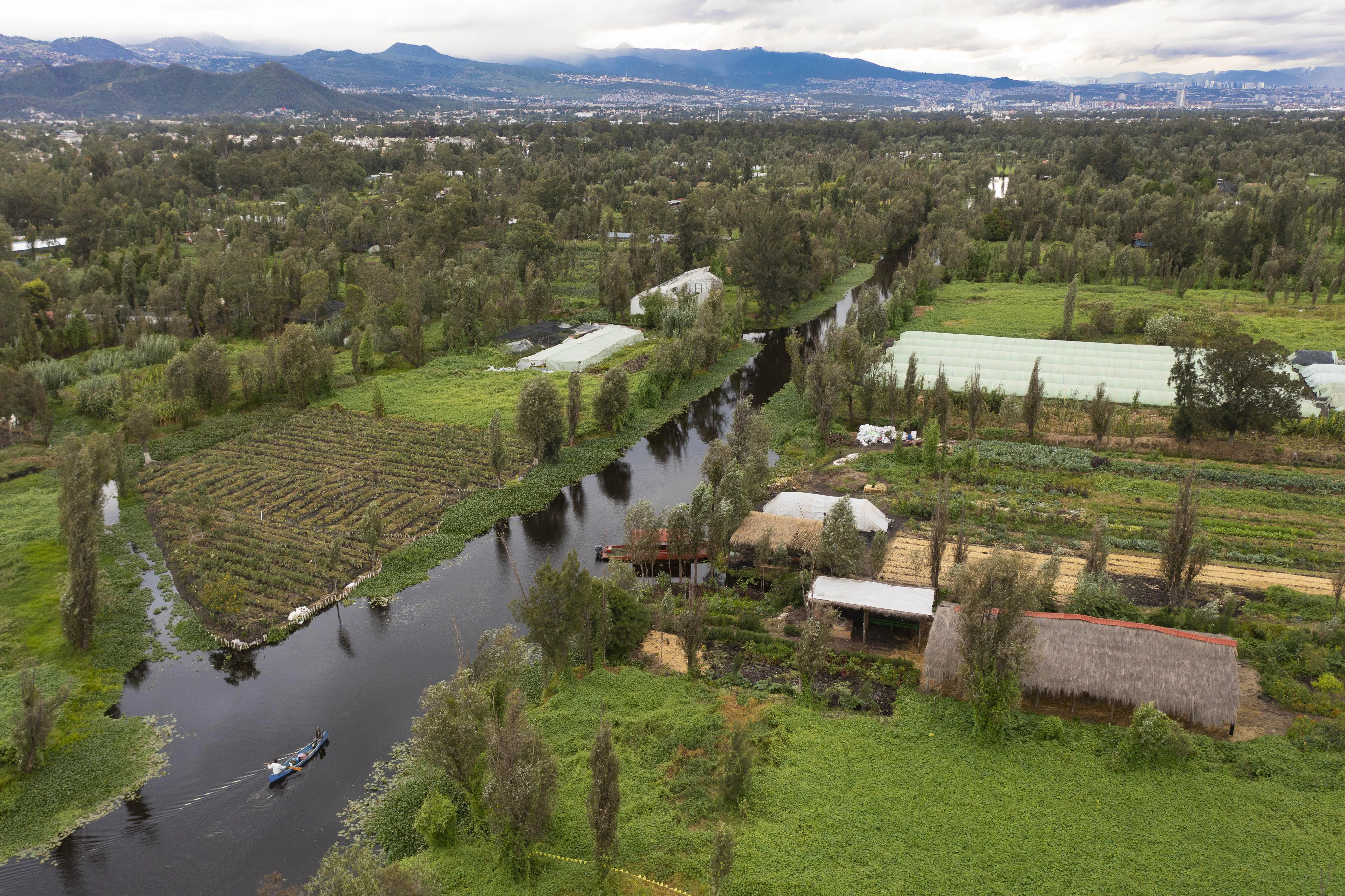 Chinampas