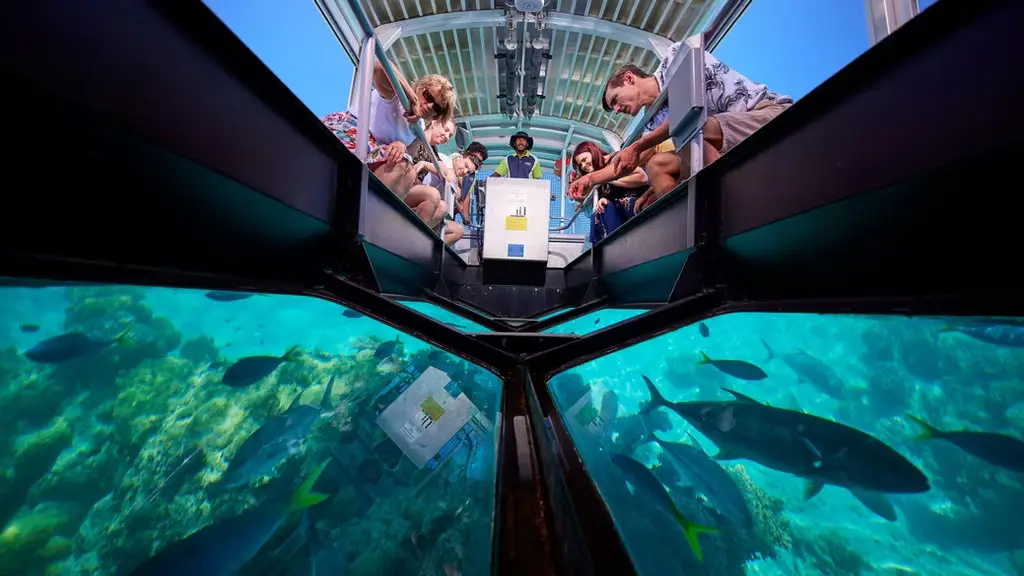 Your experience at Hawaii Glass Bottom Boat