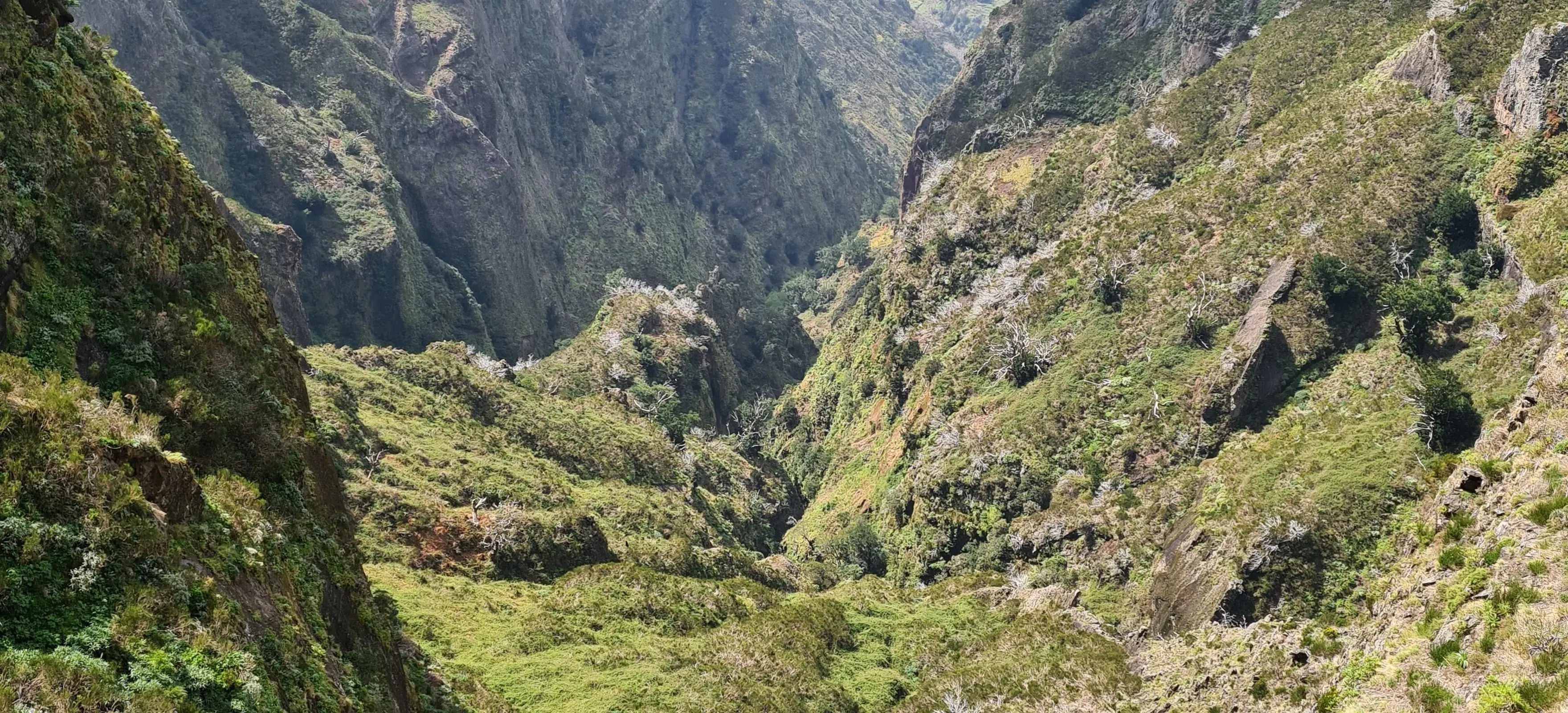 Ribeira do Cidrão