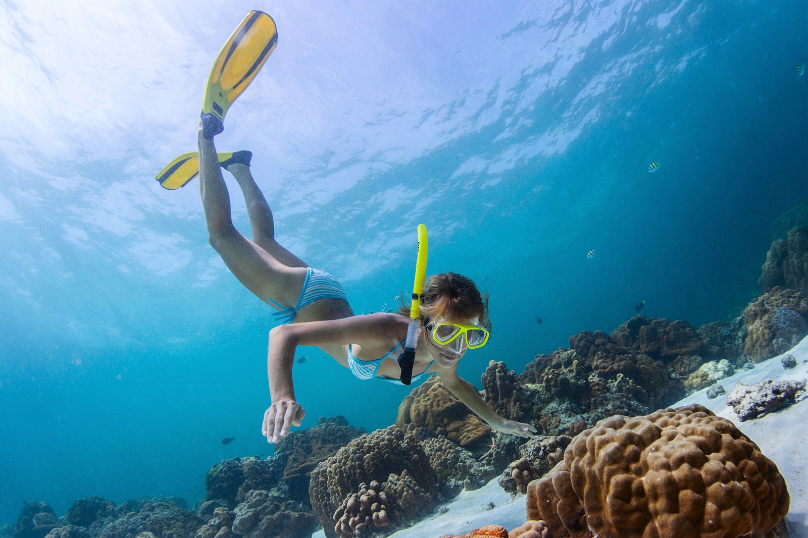 Your experience at Croatia Snorkeling
