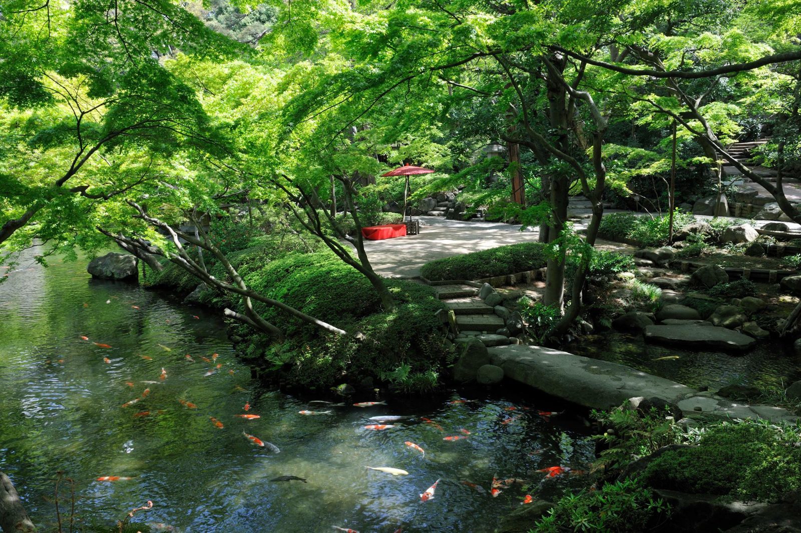 Ike Pond