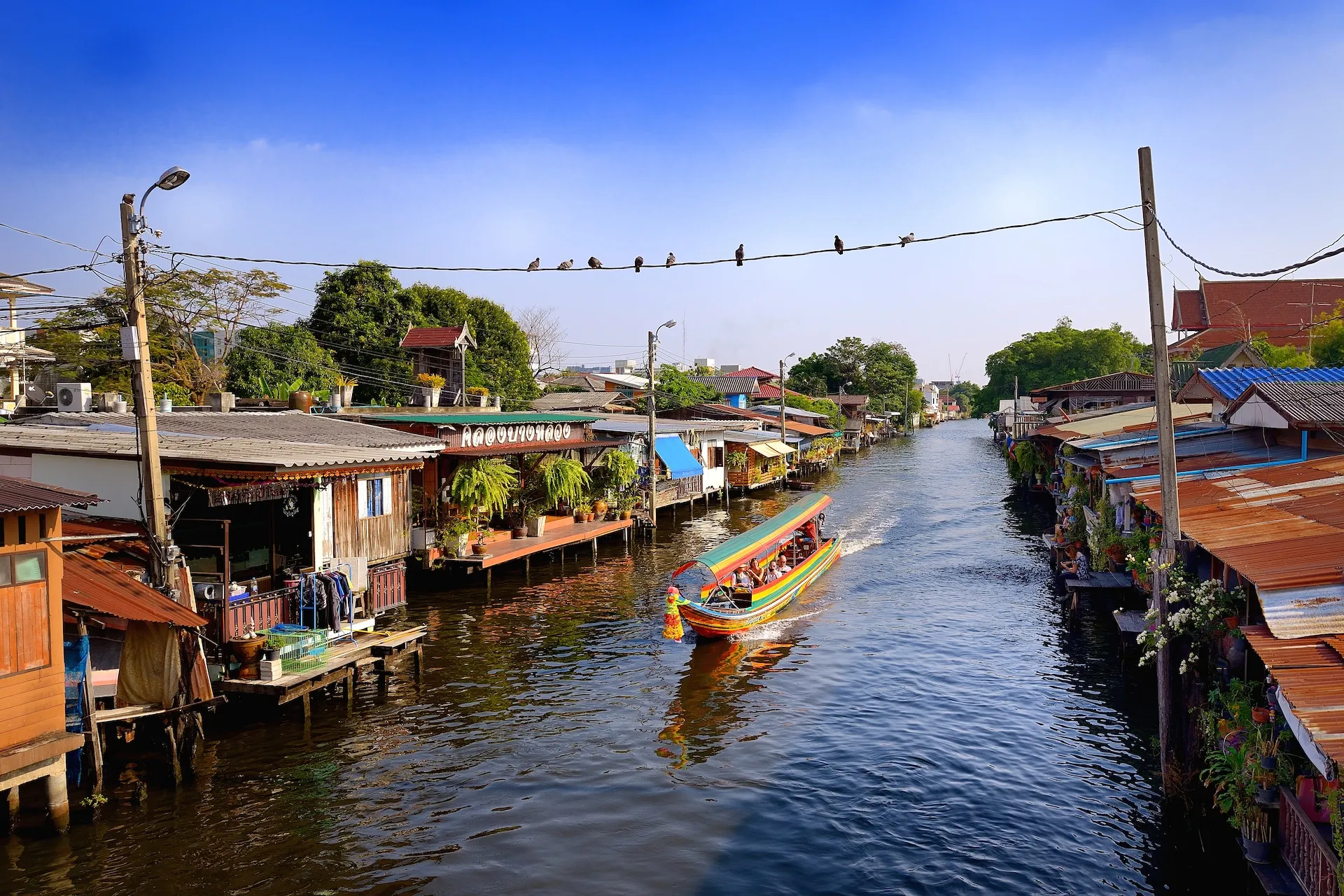Bike Tour Bangkok Overview