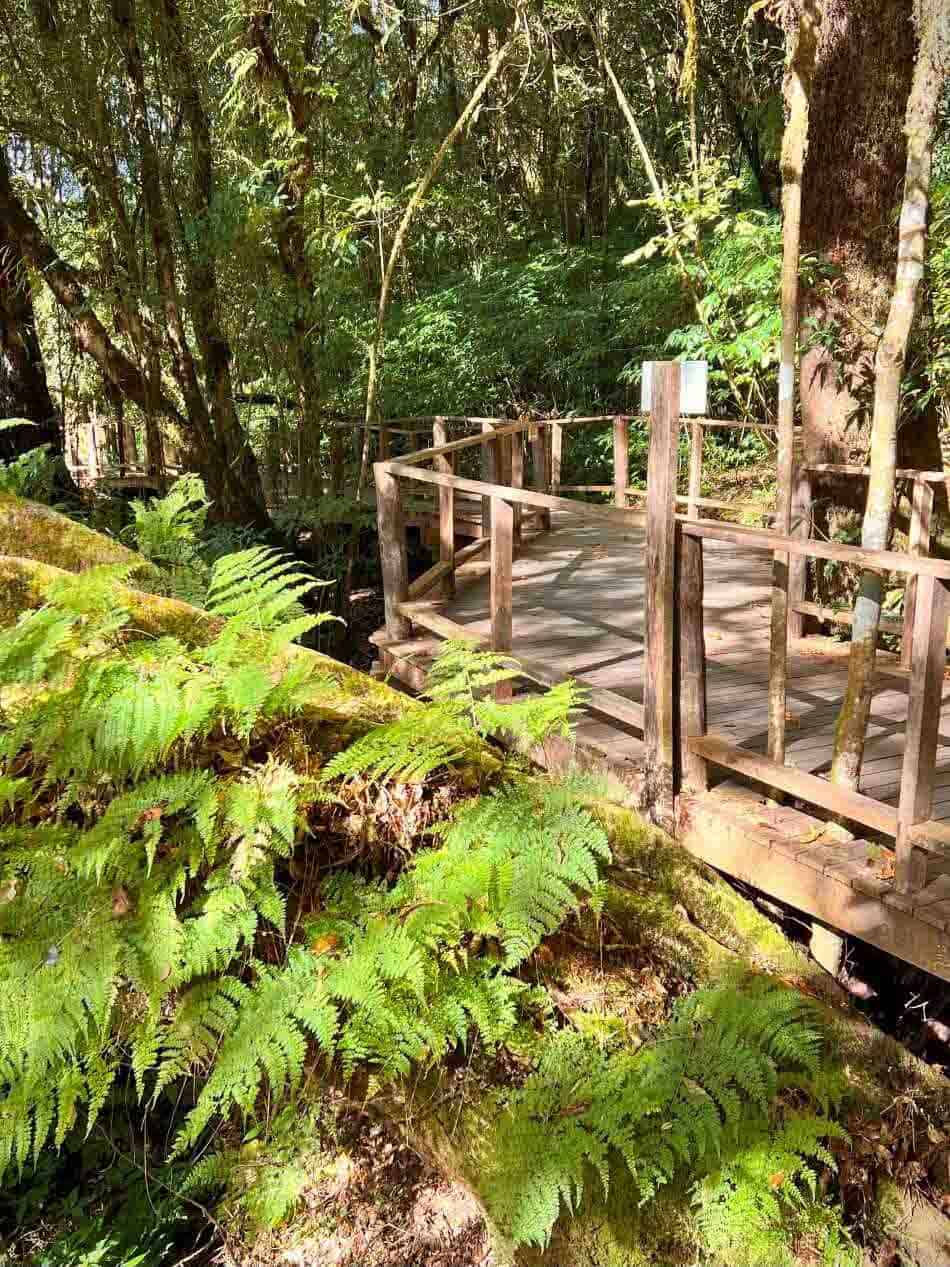 Ang Ka Nature Trail