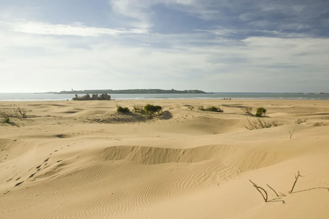 Quad Essaouira Desert Rides