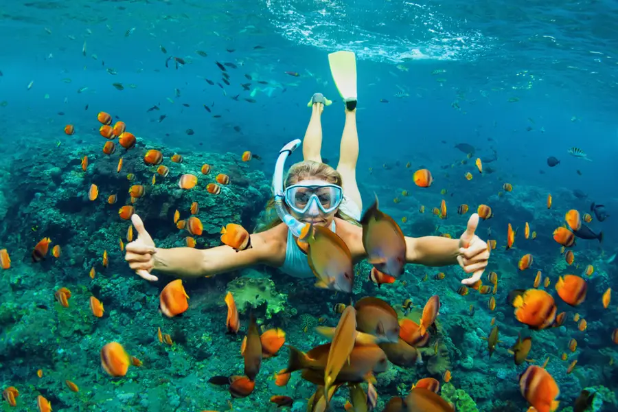 Your experience at Snorkeling Langkawi