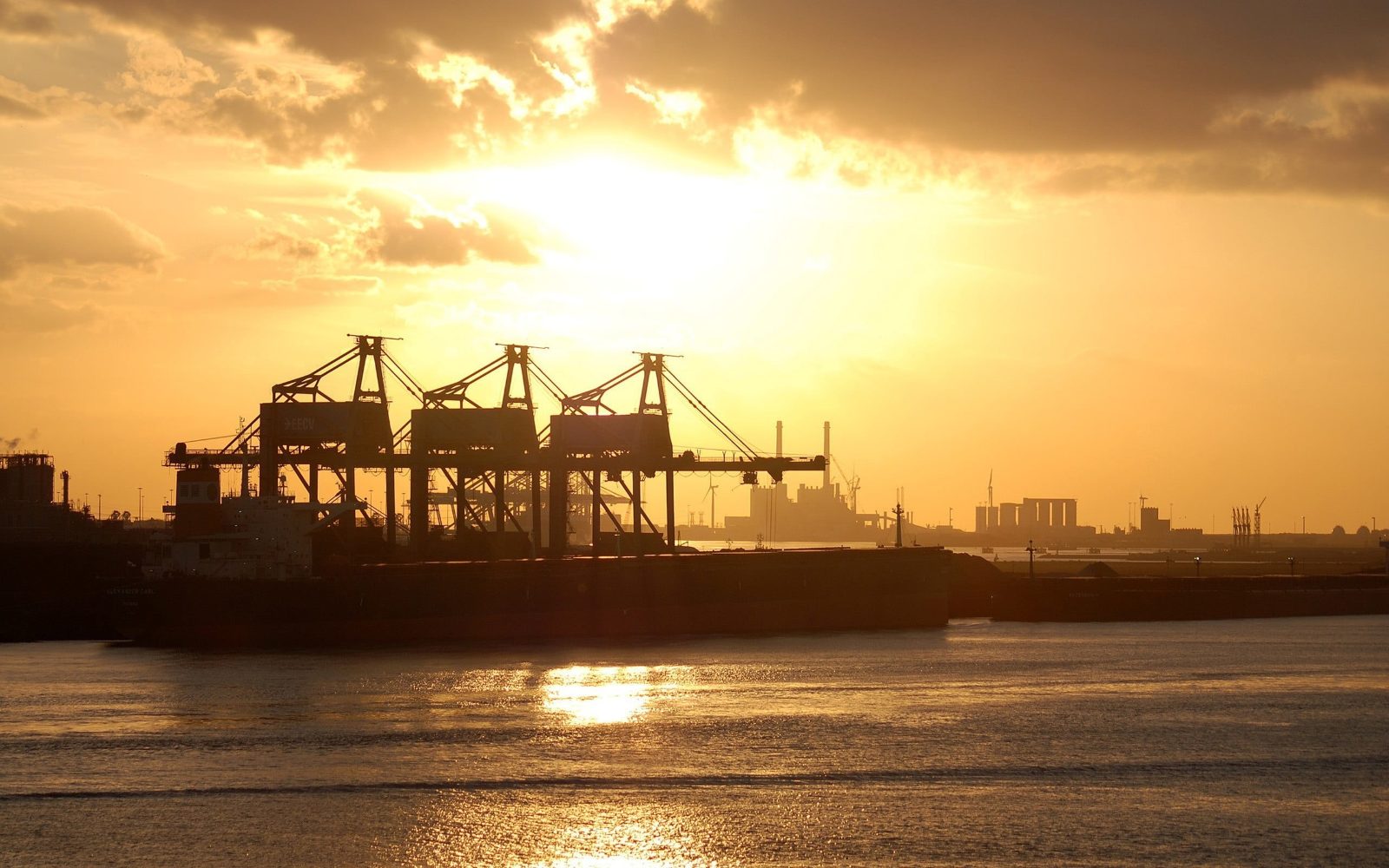 Sunset Cruise Los Angeles Harbor Experience