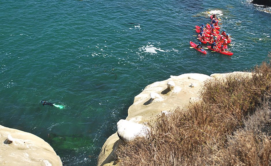 Snorkeling in La Jolla