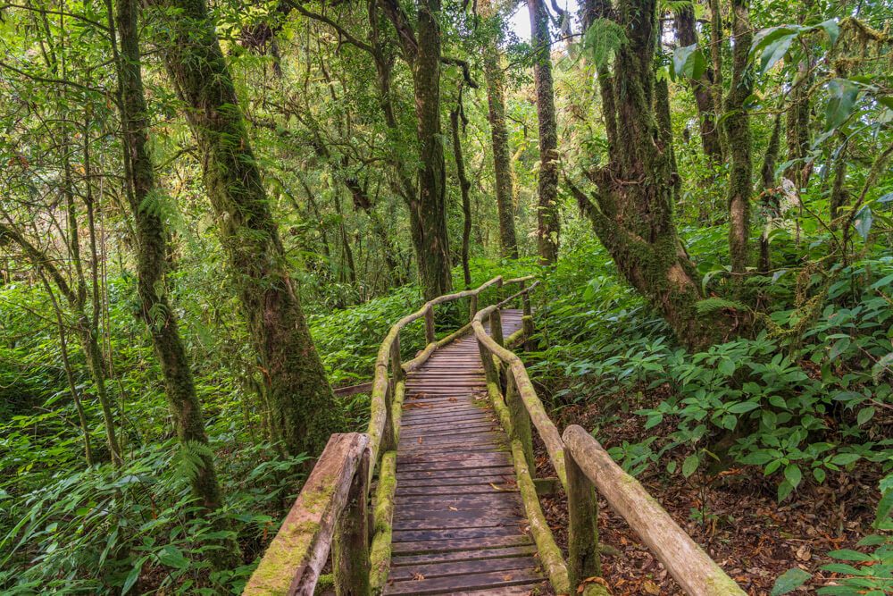 Ang Kha Nature Trail