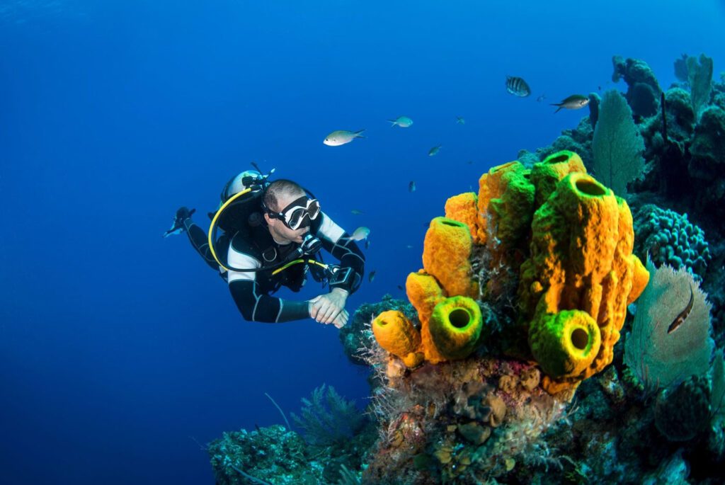 Trincomalee Diving
