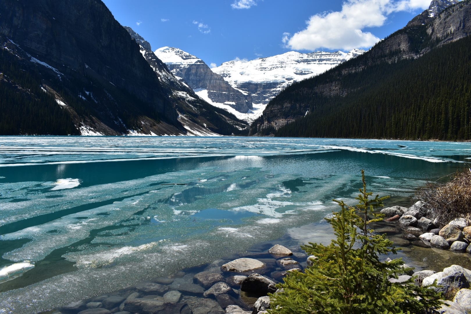 Lake Louise shoreline edge