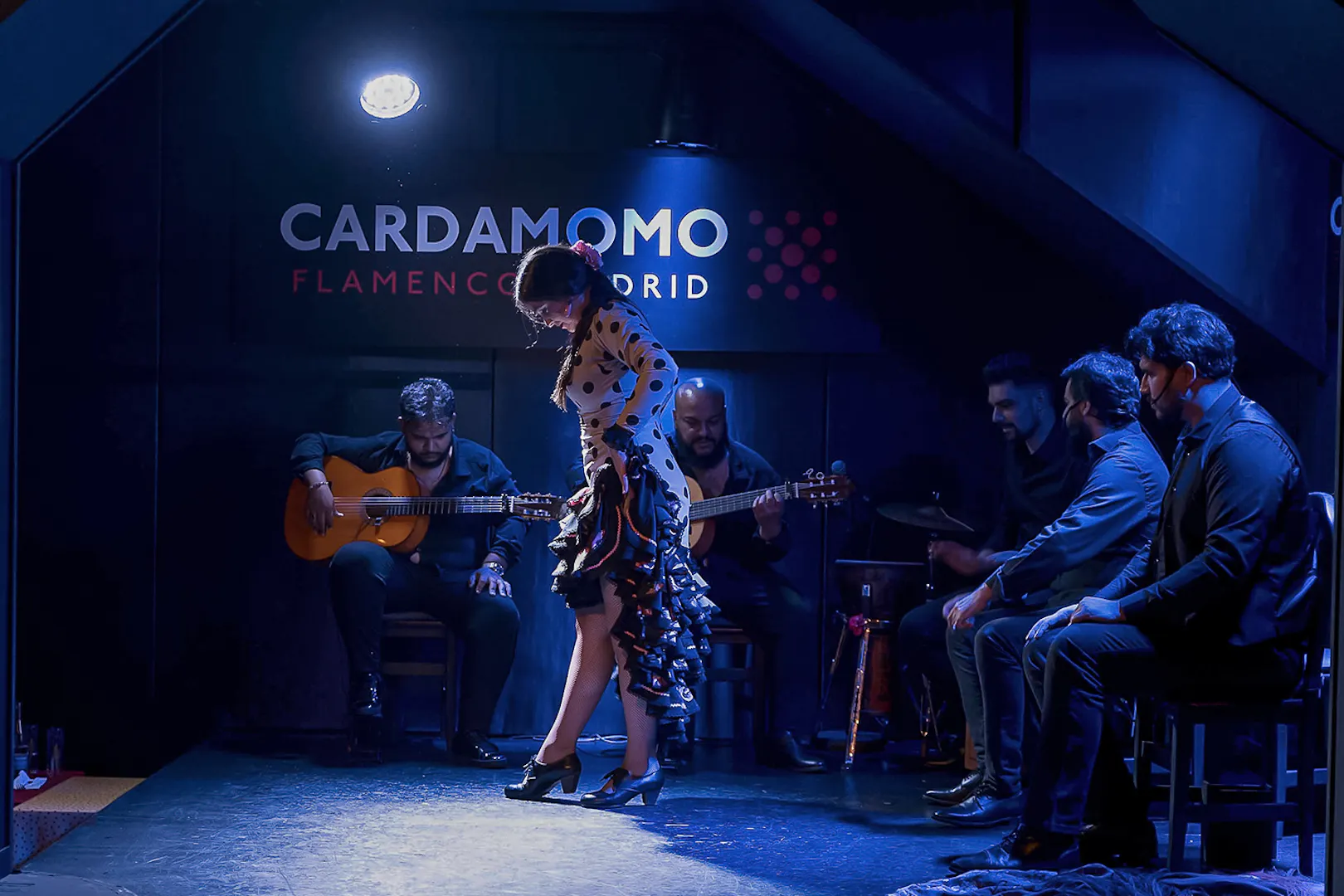 Flamenco Show Madrid Spain