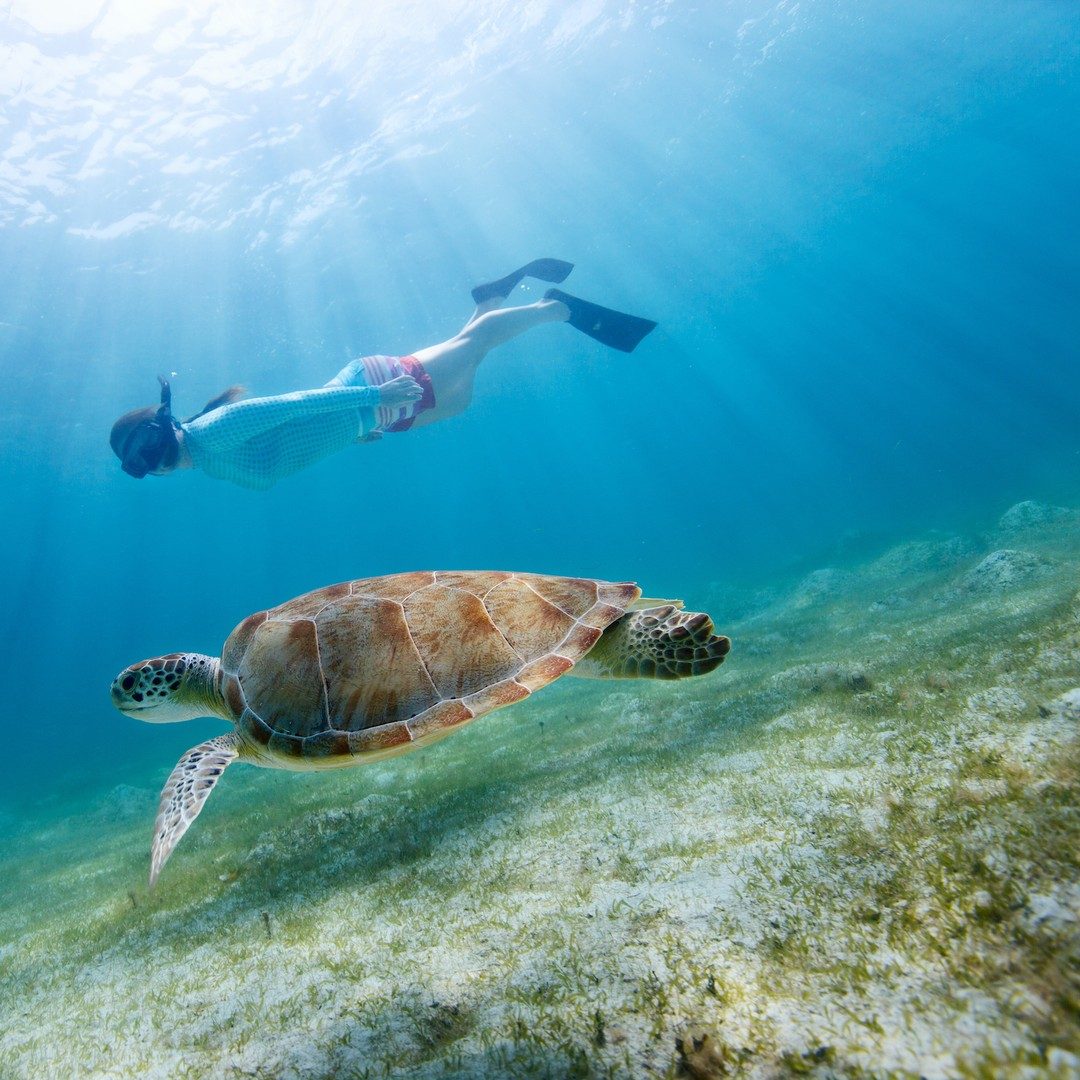 Best Snorkeling in Fort Walton Beach Florida