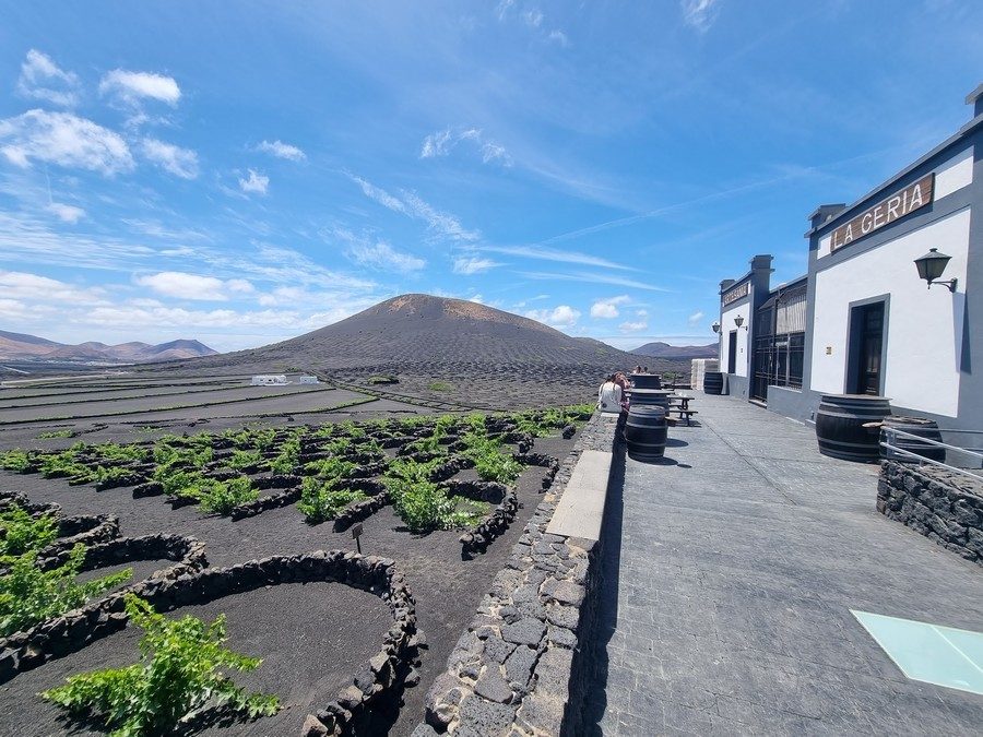 Wine Tasting Bodega Lanzarote