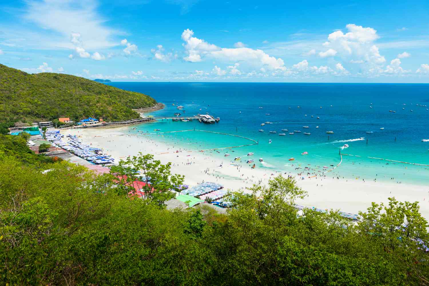 Coral Island Tour Pattaya Timings