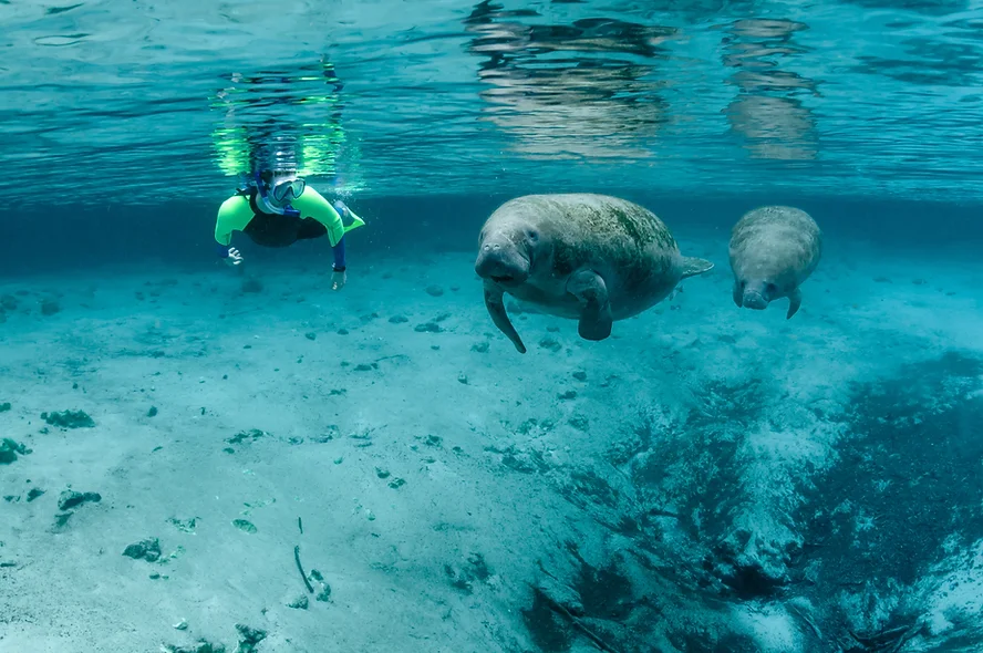 Closest Snorkeling to Orlando