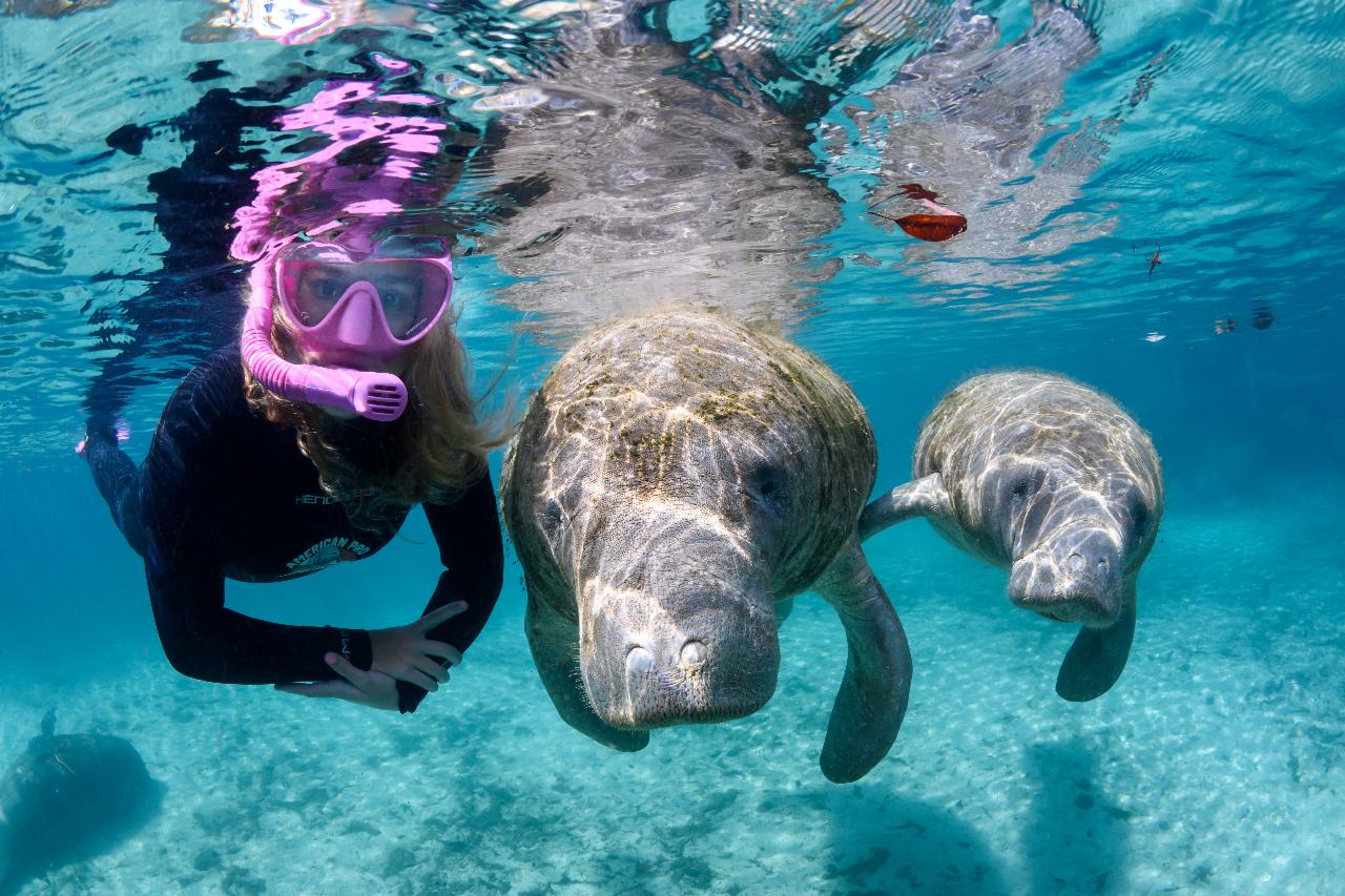 Snorkeling in Orlando for Beginners