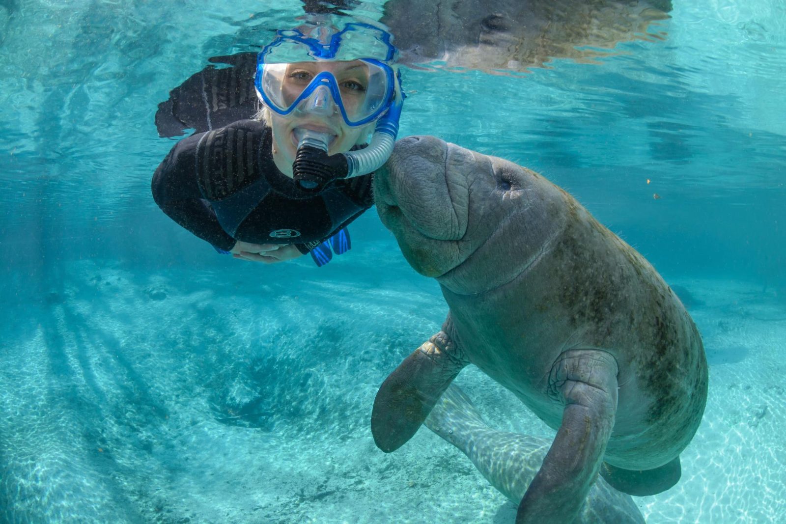 Snorkeling Gear Orlando