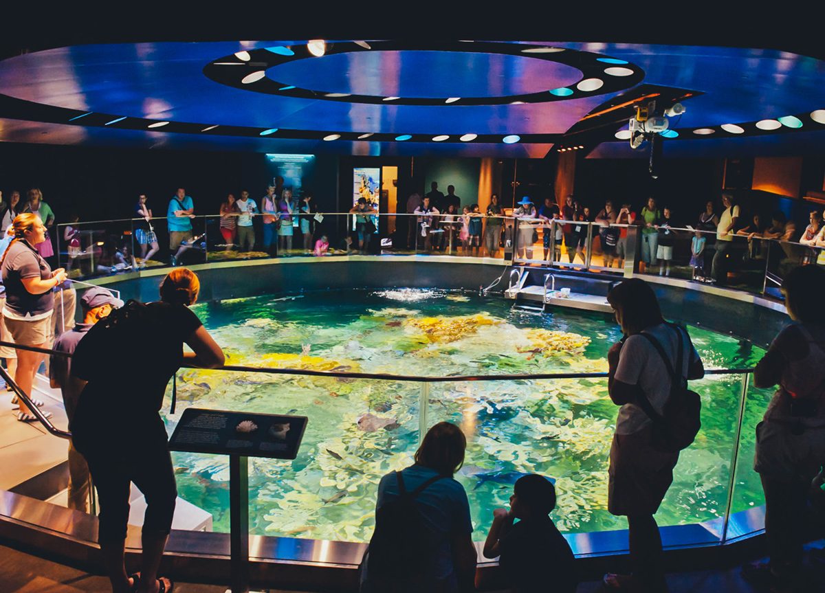 New England Aquarium