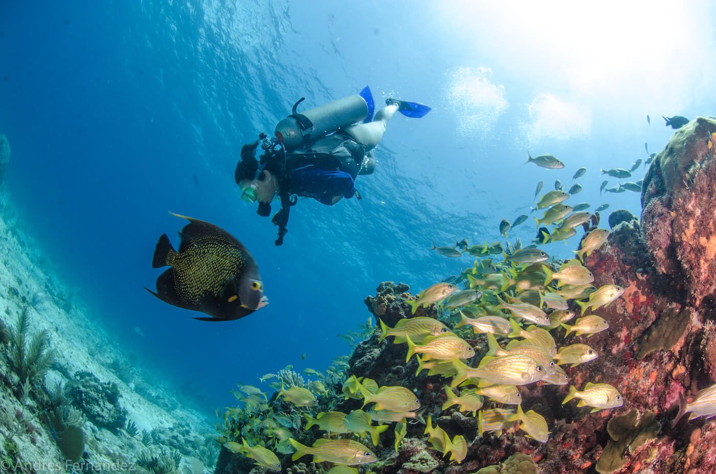 Isla Mujeres Scuba Diving Prices