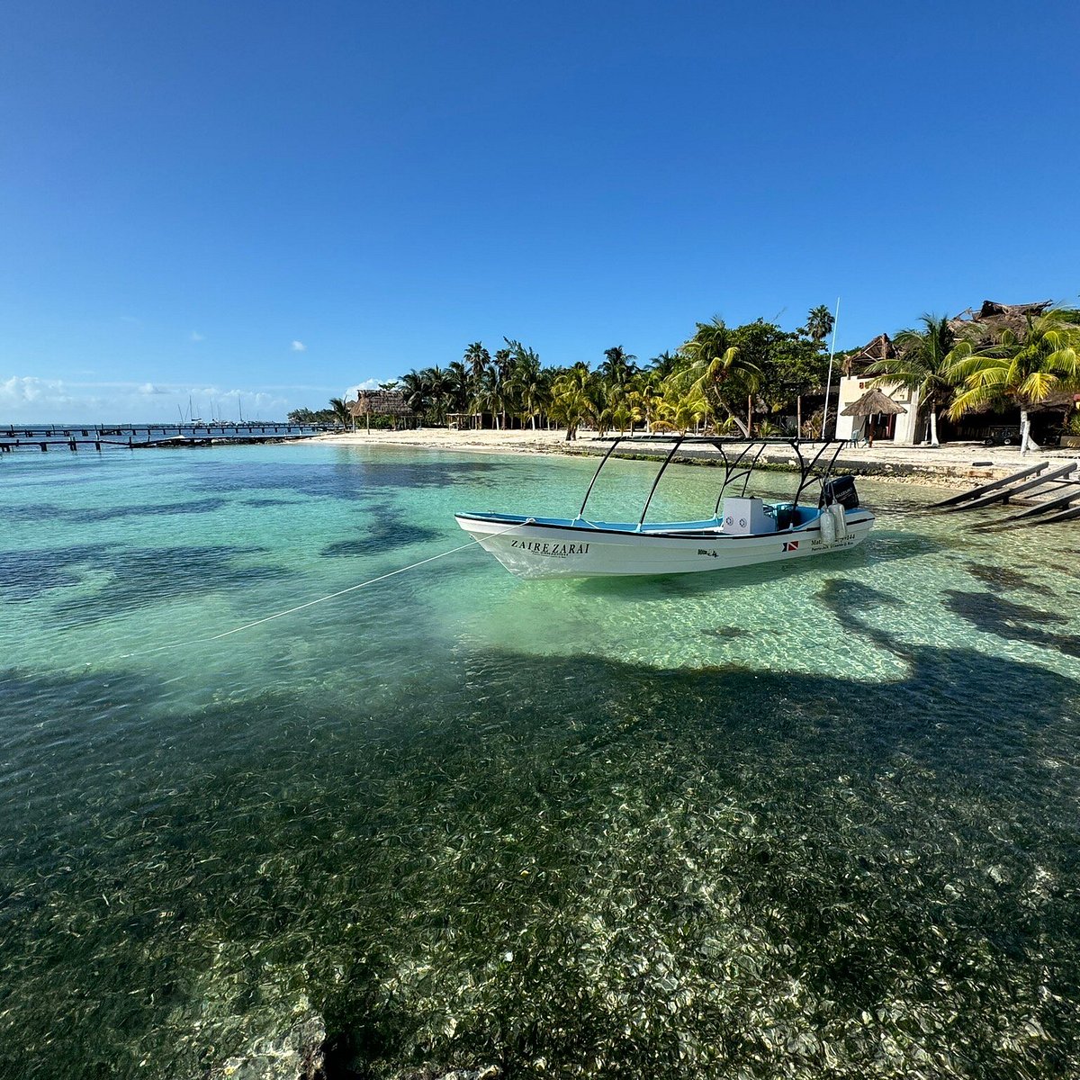 Dive Shops in Isla Mujeres