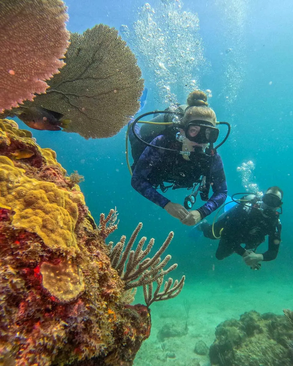 Is Isla Mujeres Good for Scuba Diving