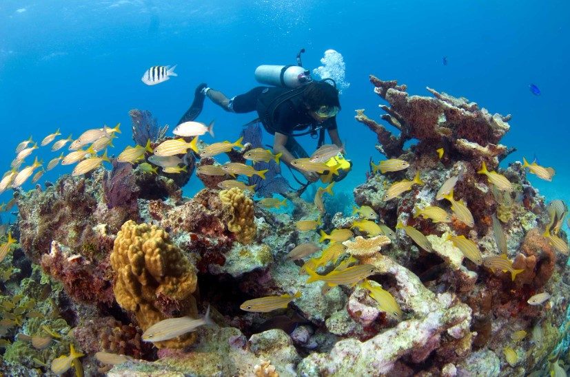Manchones Reef