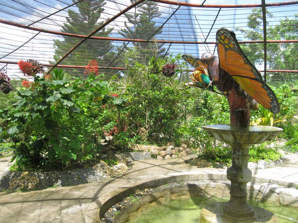 Bohol Habitat Conservation Center