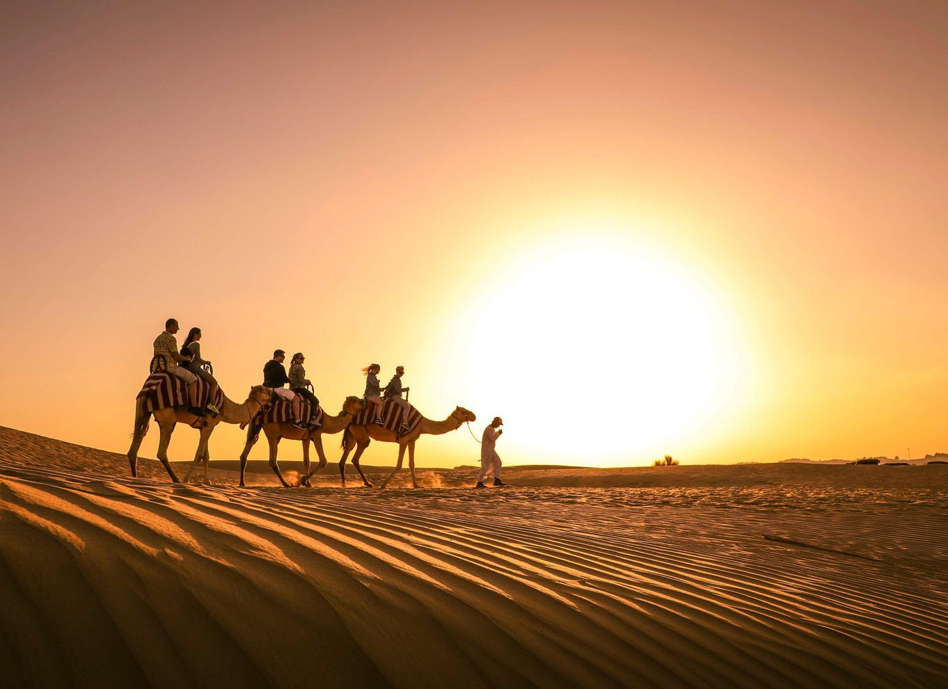 Desert Safari Dubai Timings