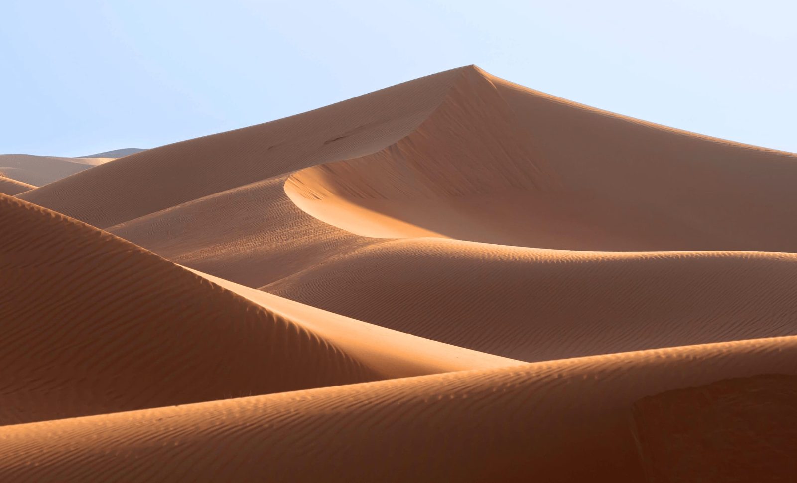 Morning Desert Safari Dubai: What to Expect