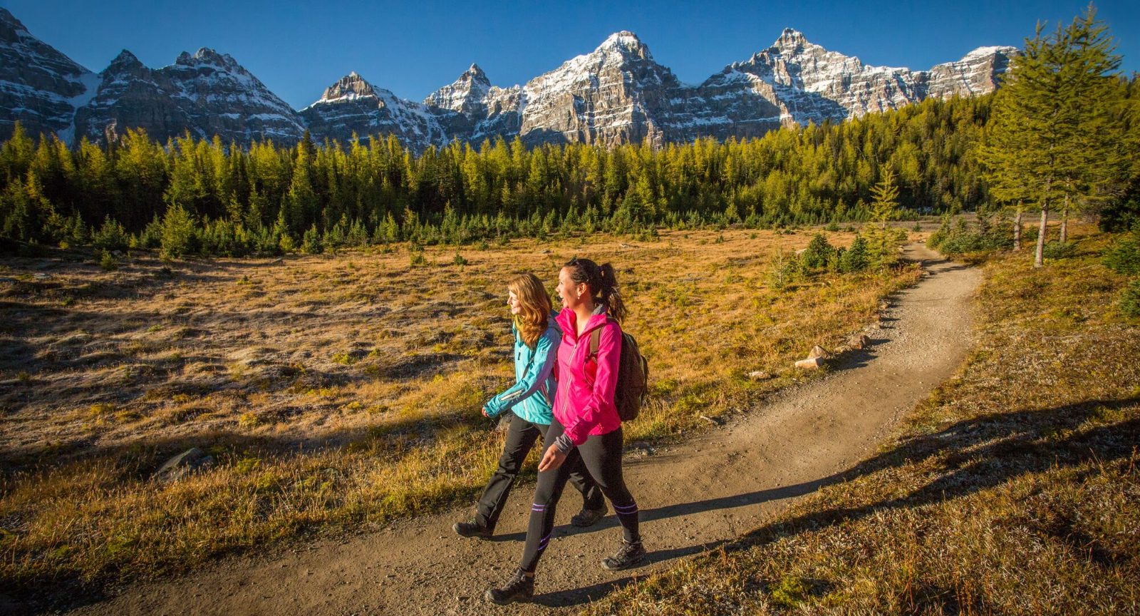 Larch Valley Trail