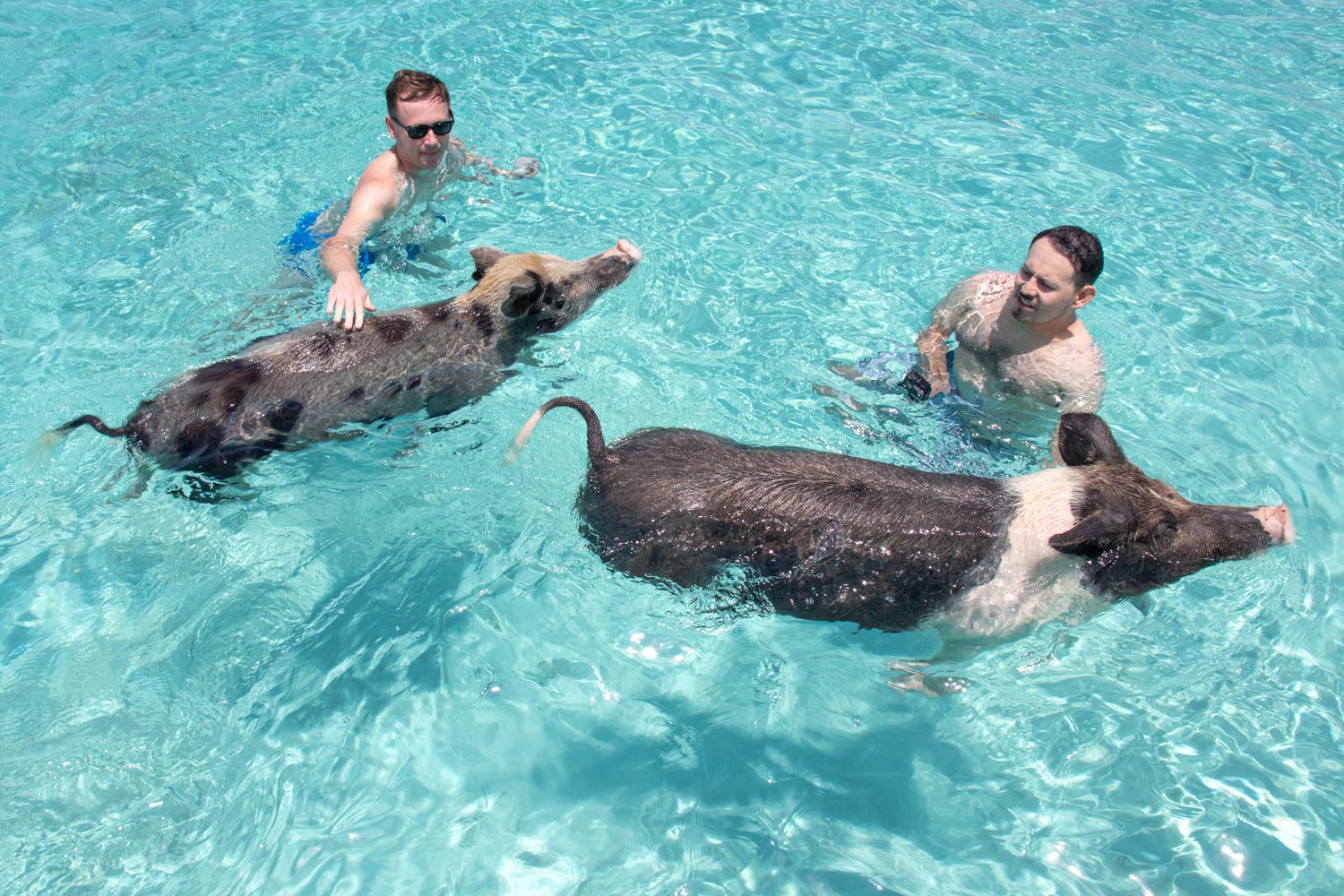 Shallow Swim Zone