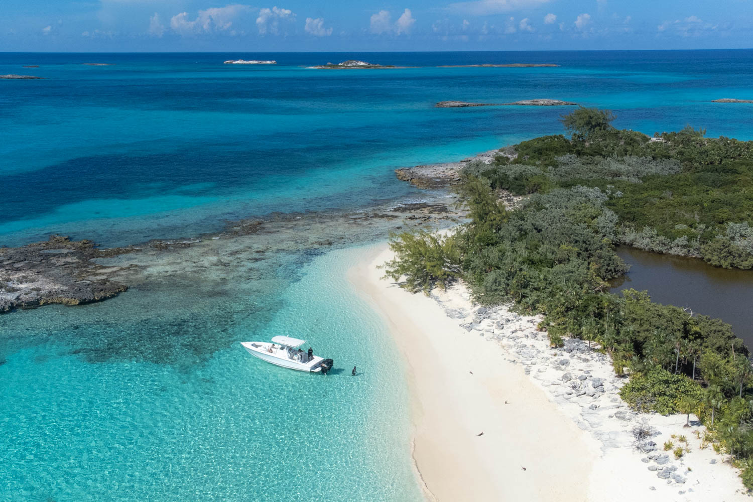 Return Voyage to Nassau